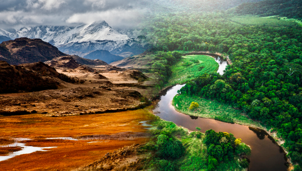 /patagonia-chilena-tiene-casi-el-doble-de-carbono-que-la-amazonia-por-hectarea-segun-estudio