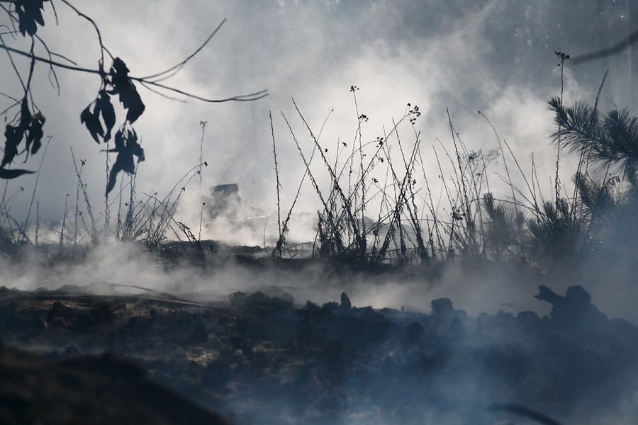 /nutriologo-advierte-consecuencias-a-corto-plazo-por-pandemia-mundial