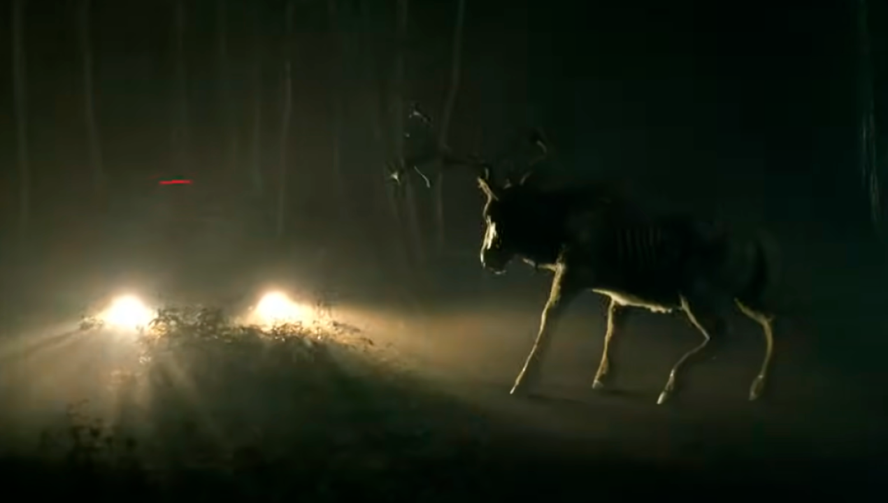 /tendencias/cine/peliculas/un-ciervo-en-busca-de-venganza-lanzan-trailer-de-bambi-the-reckoning